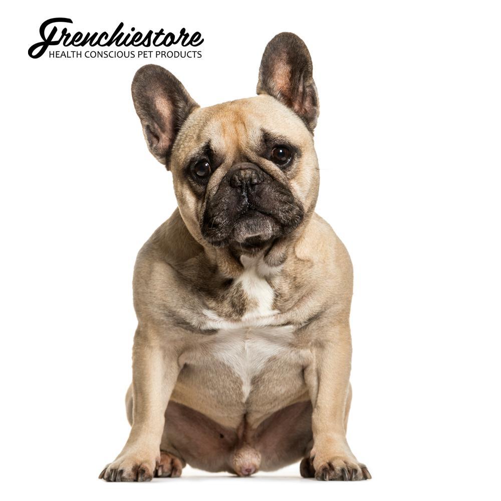 Home Remedies for Dry Noses in French Bulldogs