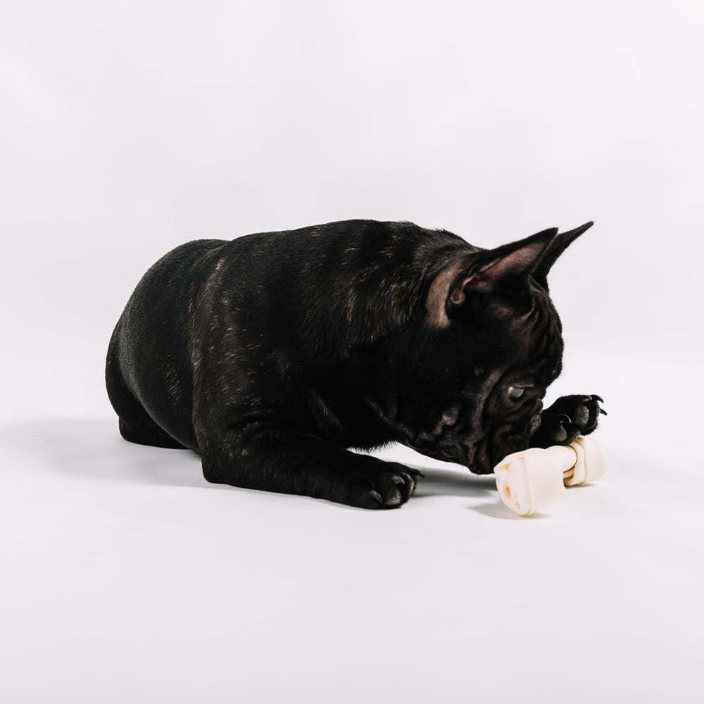 Are Rawhide Chews Dangerous for Frenchies?