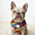 Love is Love Bundle | Frenchiestore, Frenchie Dog, French Bulldog pet products