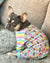 French Bulldog Pajamas | Frenchie Clothing | Ice Cream, Frenchie Dog, French Bulldog pet products