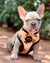 Frenchiestore Reversible Dog Health Harness | Livin' La Vida Frenchie, Frenchie Dog, French Bulldog pet products