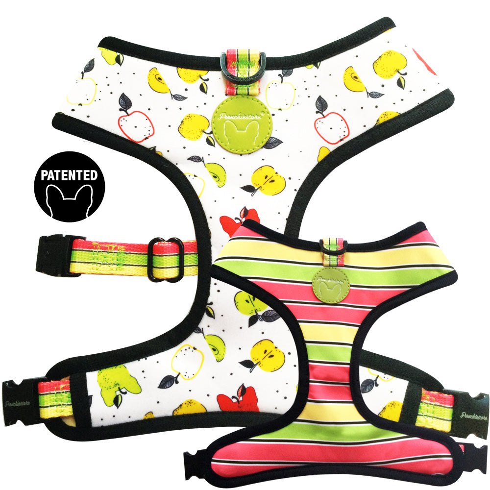 Frenchiestore Reversible Dog Health Harness | Apple, Frenchie Dog, French Bulldog pet products