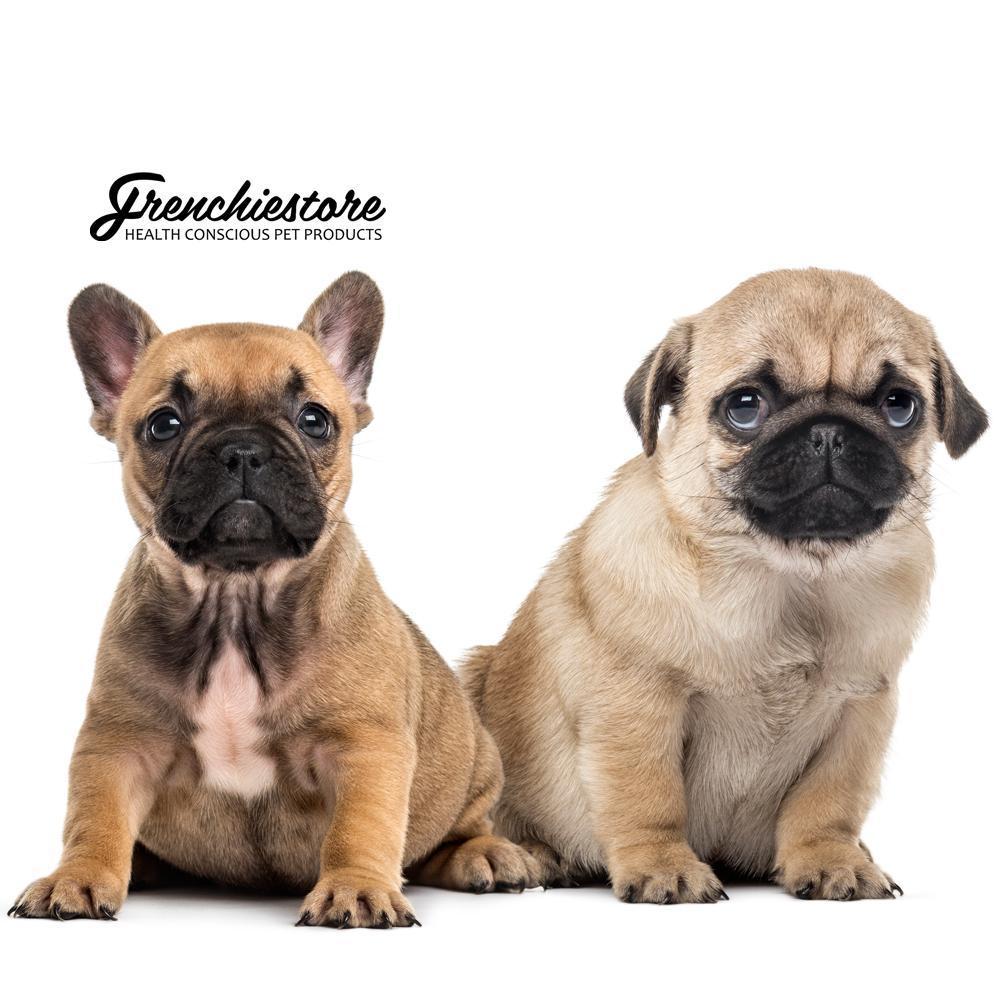 Debería conseguir un bulldog francés o un cachorro pug?