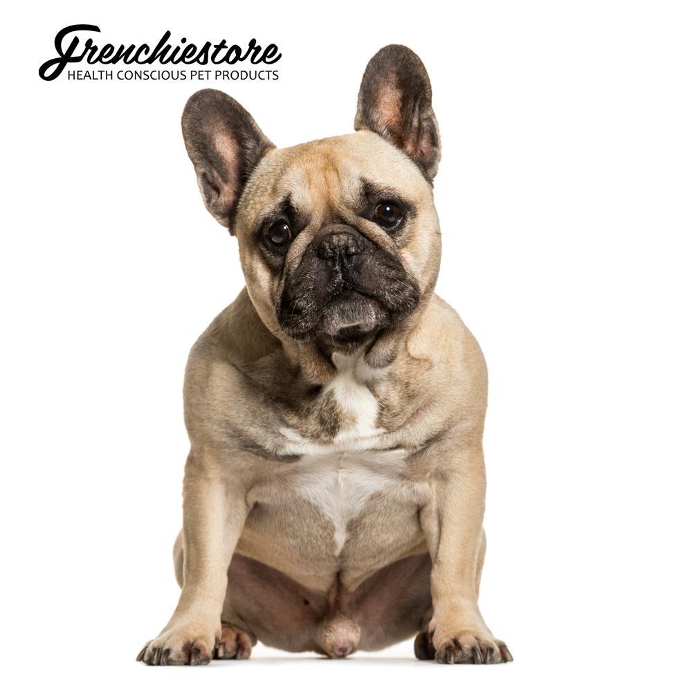 What to Put on a Dog's Dry Nose: Effective Home Remedies
