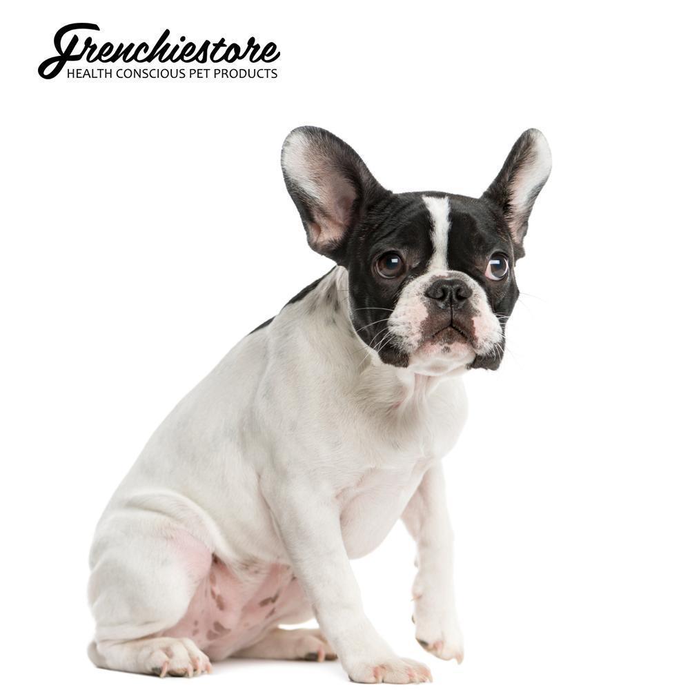 How Can You Tell if Your French Bulldog is Not Feeling Well?