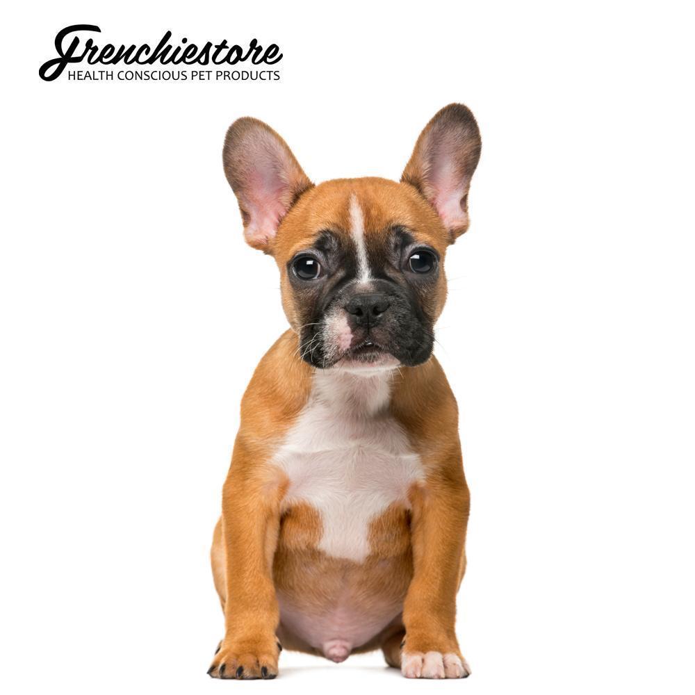 Are Bulldogs Hypoallergenic Dog Breeds: Myth or Fact?