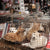 Hund Fleischmarkt China Hunde in Käfigen