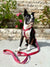 حزام الحزام والمقود مجموعة الشفاه والورود، Frenchie Dog، منتجات الحيوانات الأليفة French Bulldog