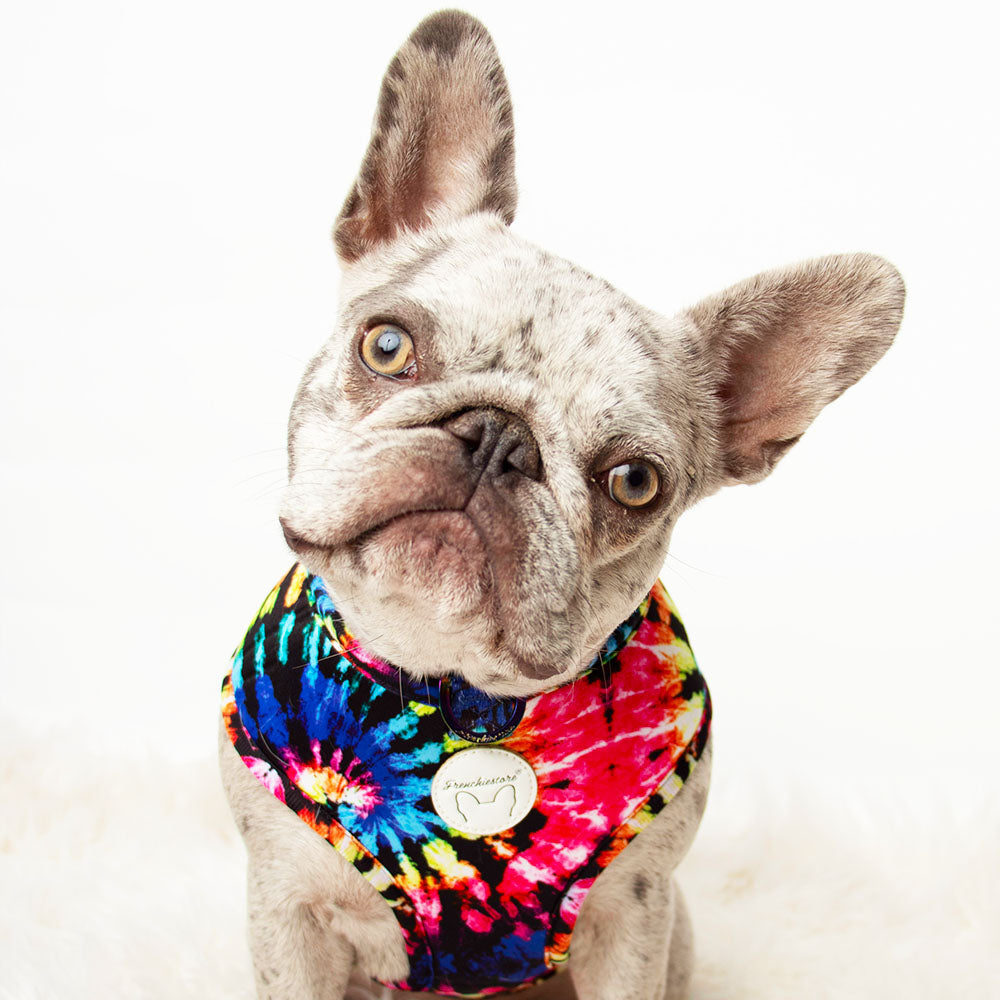 Love is Love Bundle | Frenchiestore, Frenchie Dog, French Bulldog pet products