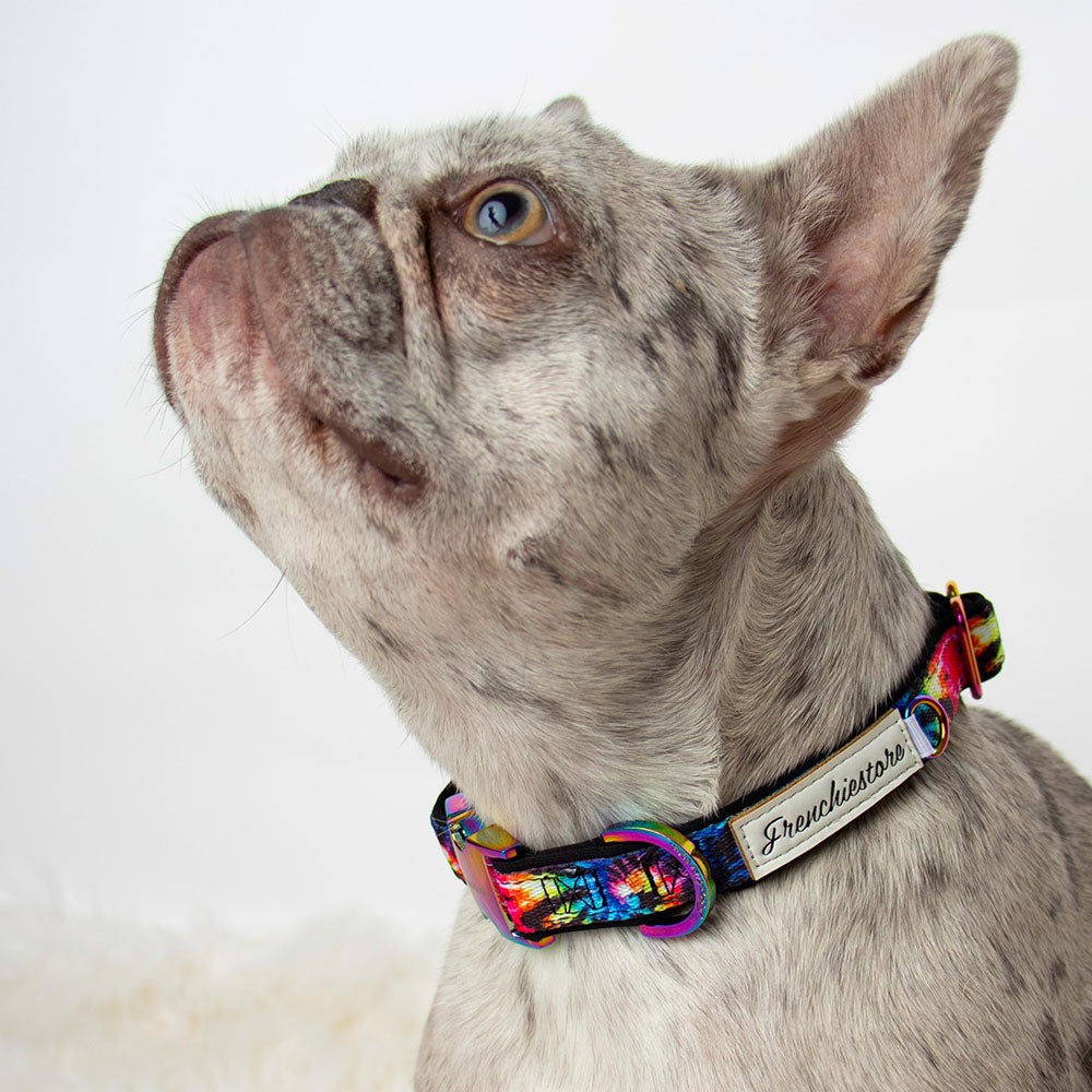 Love is Love Bundle | Frenchiestore, Frenchie Dog, French Bulldog pet products