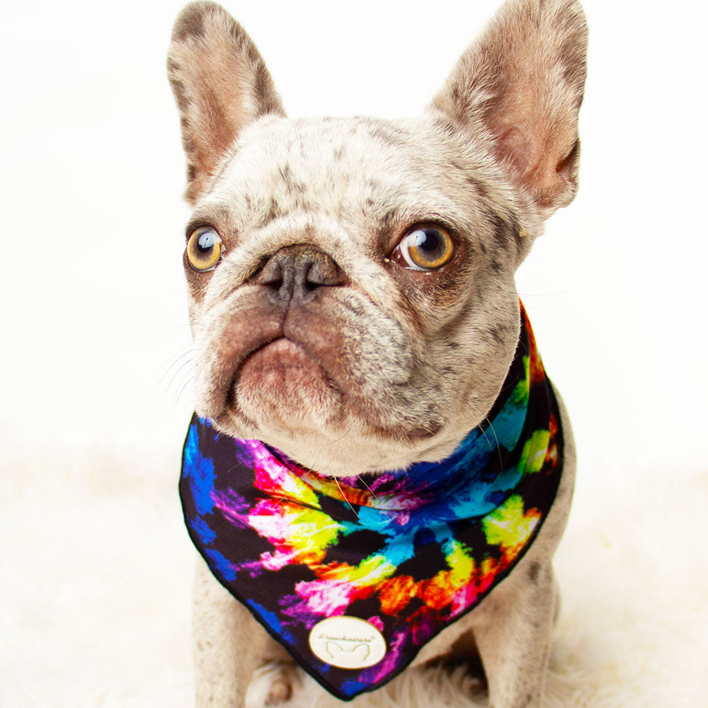 Love is Love Bundle | Frenchiestore, Frenchie Dog, French Bulldog pet products