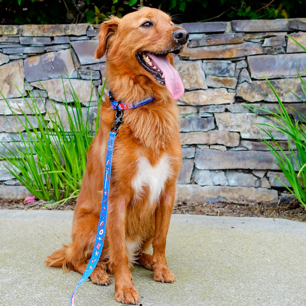 Frenchiestore Breakaway Dog Collar | Red, White &amp; Blue, Frenchie Dog, French Bulldog pet products