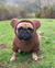 TEDDYBÄR-HUNDE-HOODIE IN GRÖSSE L, Frenchie-Hund, Haustierprodukte der französischen Bulldogge