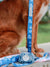 Dispensador de bolsas para caca Frenchiestore | Denim, Frenchie Dog, productos para mascotas Bulldog Francés