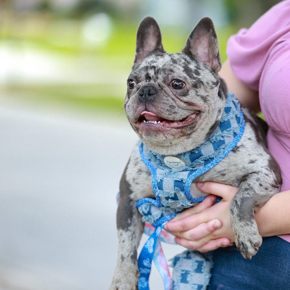 Denim Bundle | Frenchiestore, Frenchie Dog, French Bulldog pet products