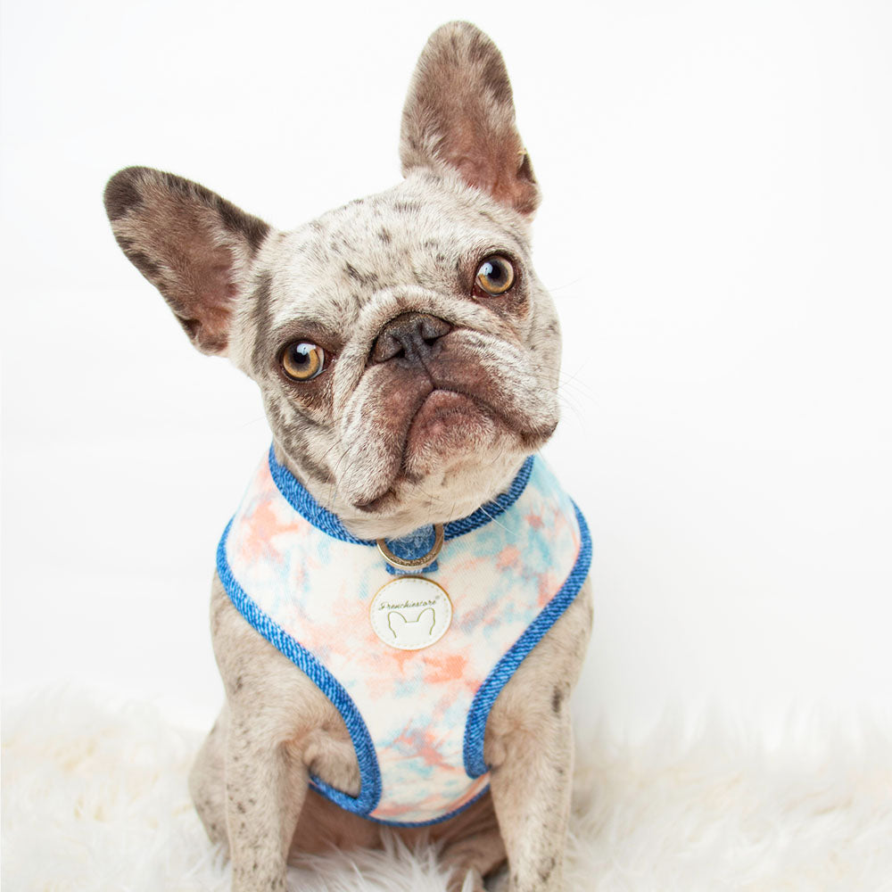Denim Bundle | Frenchiestore, Frenchie Dog, French Bulldog pet products