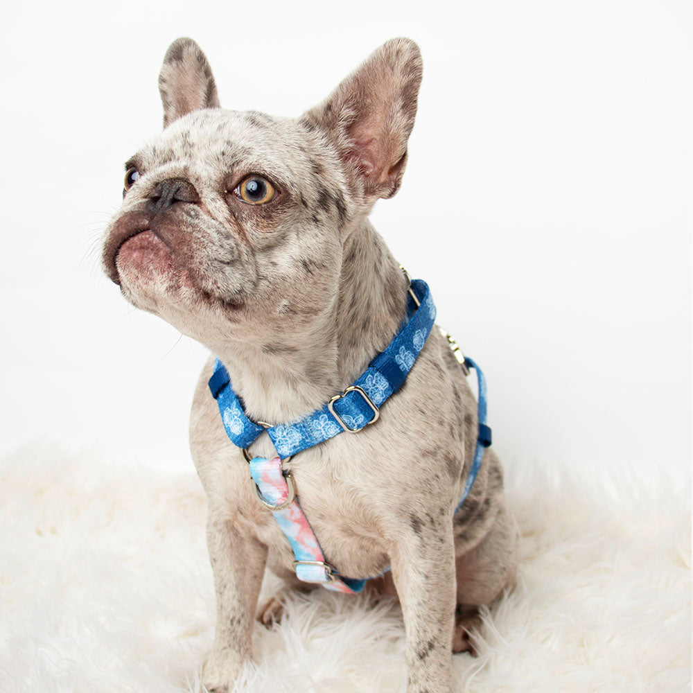 Adjustable Pet Health Strap Harness | Denim, Frenchie Dog, French Bulldog pet products