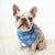 Pañuelo refrescante para perros de Frenchiestore | Denim, Frenchie Dog, productos para mascotas Bulldog Francés