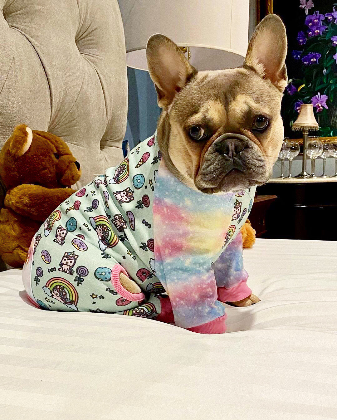 French Bulldog Pajamas | Frenchie Clothing | UniPup, Frenchie Dog, French Bulldog pet products