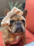 Lazo para la cabeza del animal doméstico Frenchiestore | Productos para mascotas Ivory, Frenchie Dog, French Bulldog