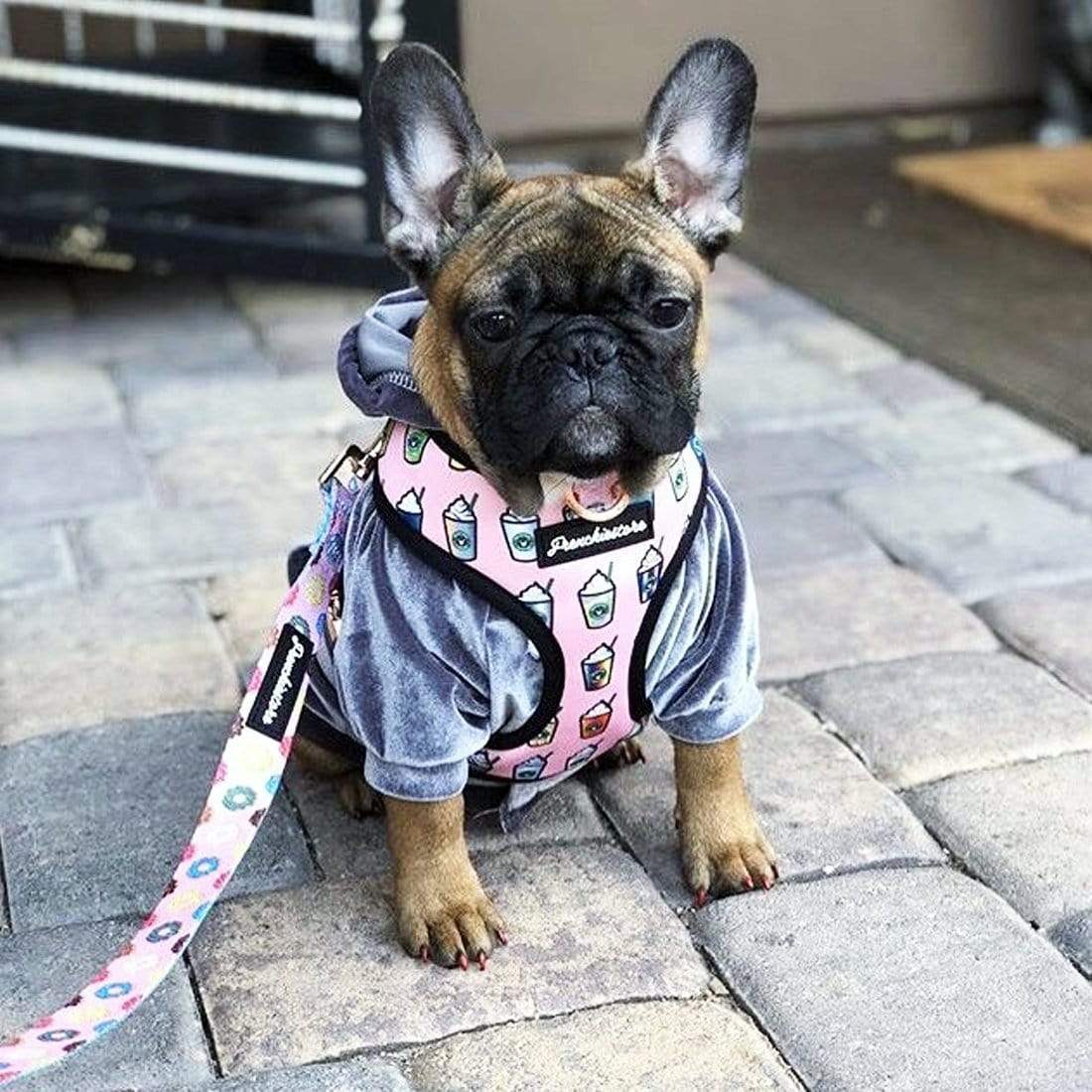 Frenchie Shop : French Bulldog Harnesses, Clothes, Apparel & more