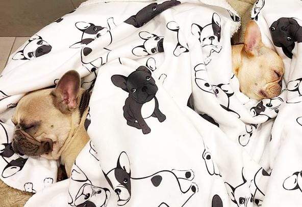 Frenchie Blanket | Frenchiestore | French Bulldogs on Black &amp; White, Frenchie Dog, French Bulldog pet products
