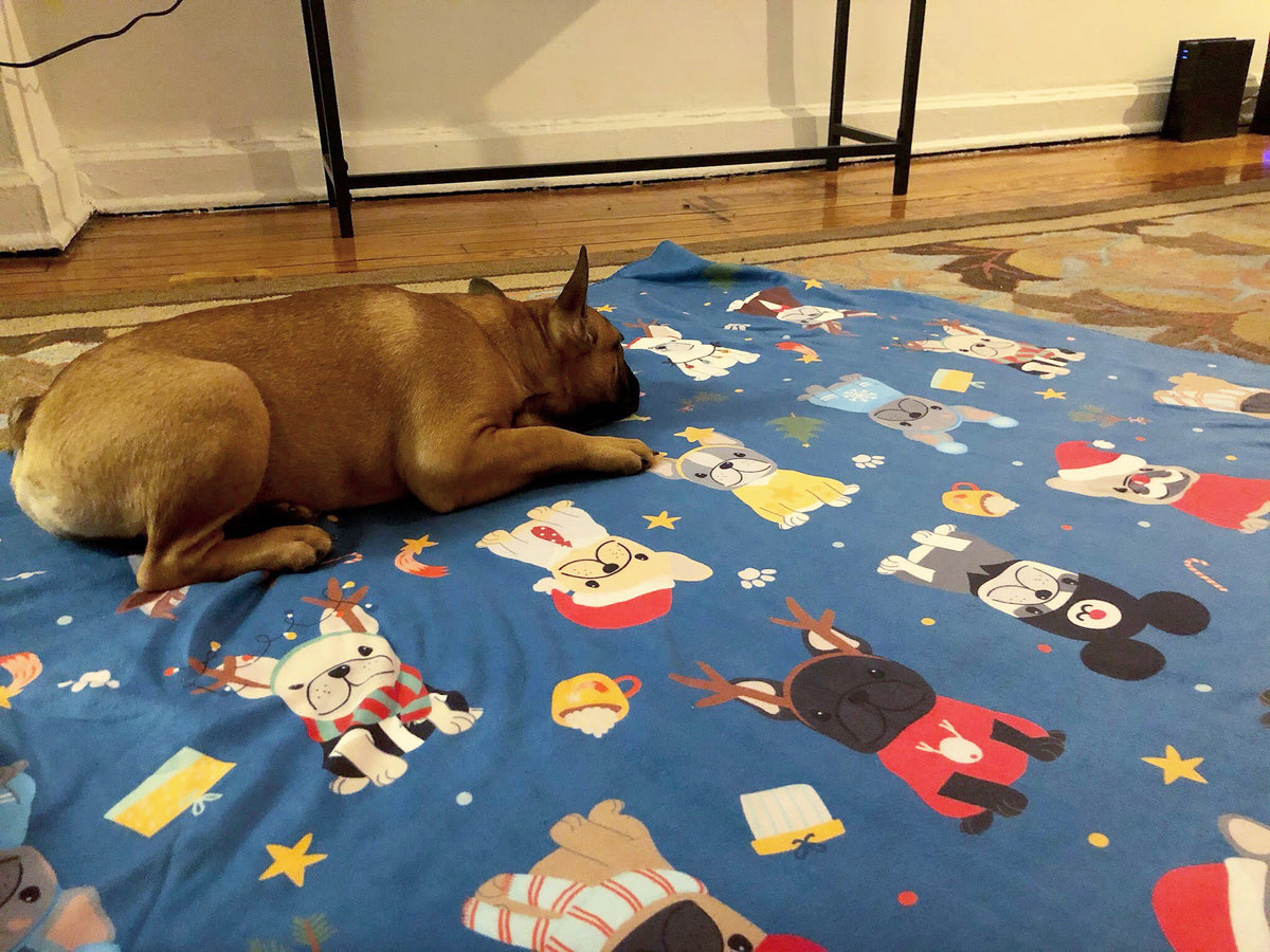 Festive Frenchie Christmas Blanket | Frenchiestore, Frenchie Dog, French Bulldog pet products