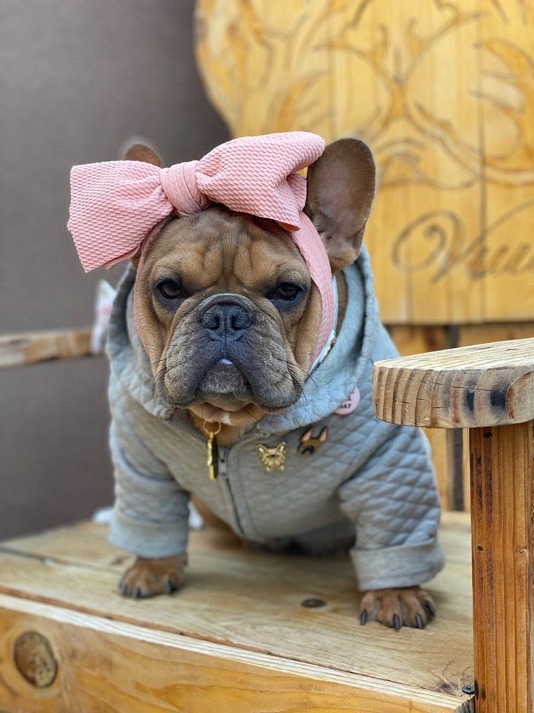 Frenchiestore Pet Head Bow | Tan, Frenchie Dog, French Bulldog pet products