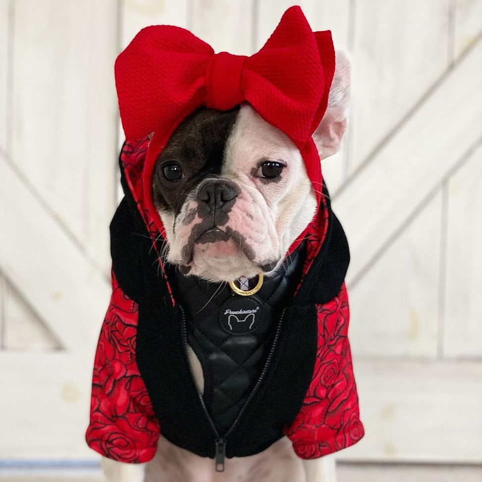 Frenchiestore Organic Dog hoodie | Lips &amp; Roses, Frenchie Dog, French Bulldog pet products