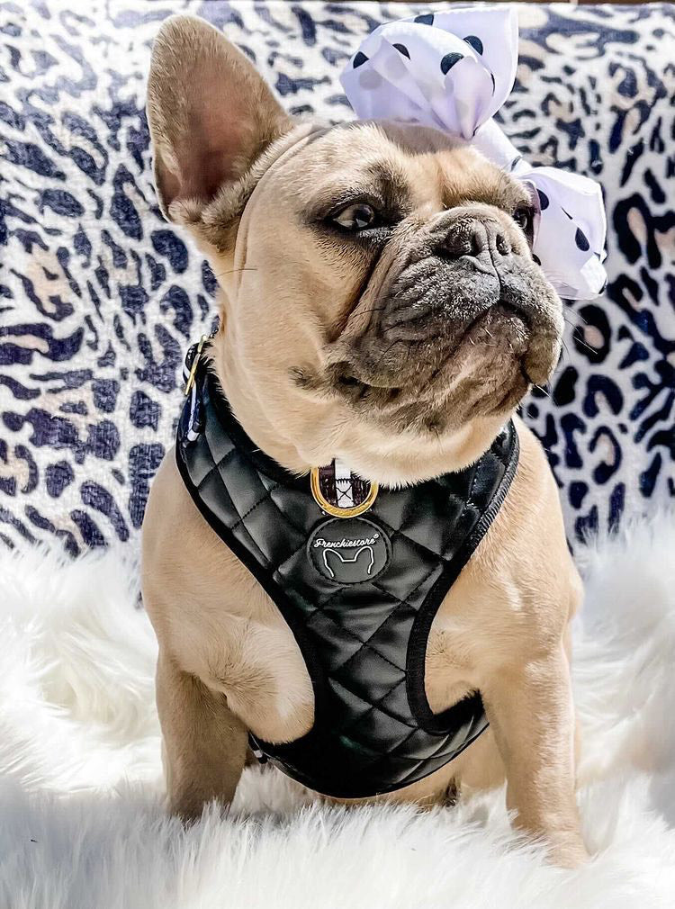 Chewey V Checkered Faux Leather Harness – KNOX DOGWEAR