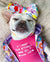 Lazo de cabeza de mascota Frenchiestore | Productos para mascotas Color Splash, Frenchie Dog, French Bulldog