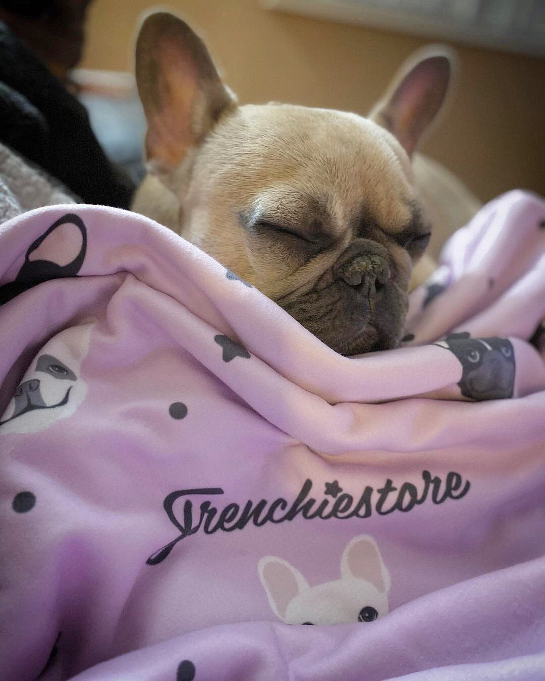 Frenchie Blanket | French Bulldogs and stars on Lavender