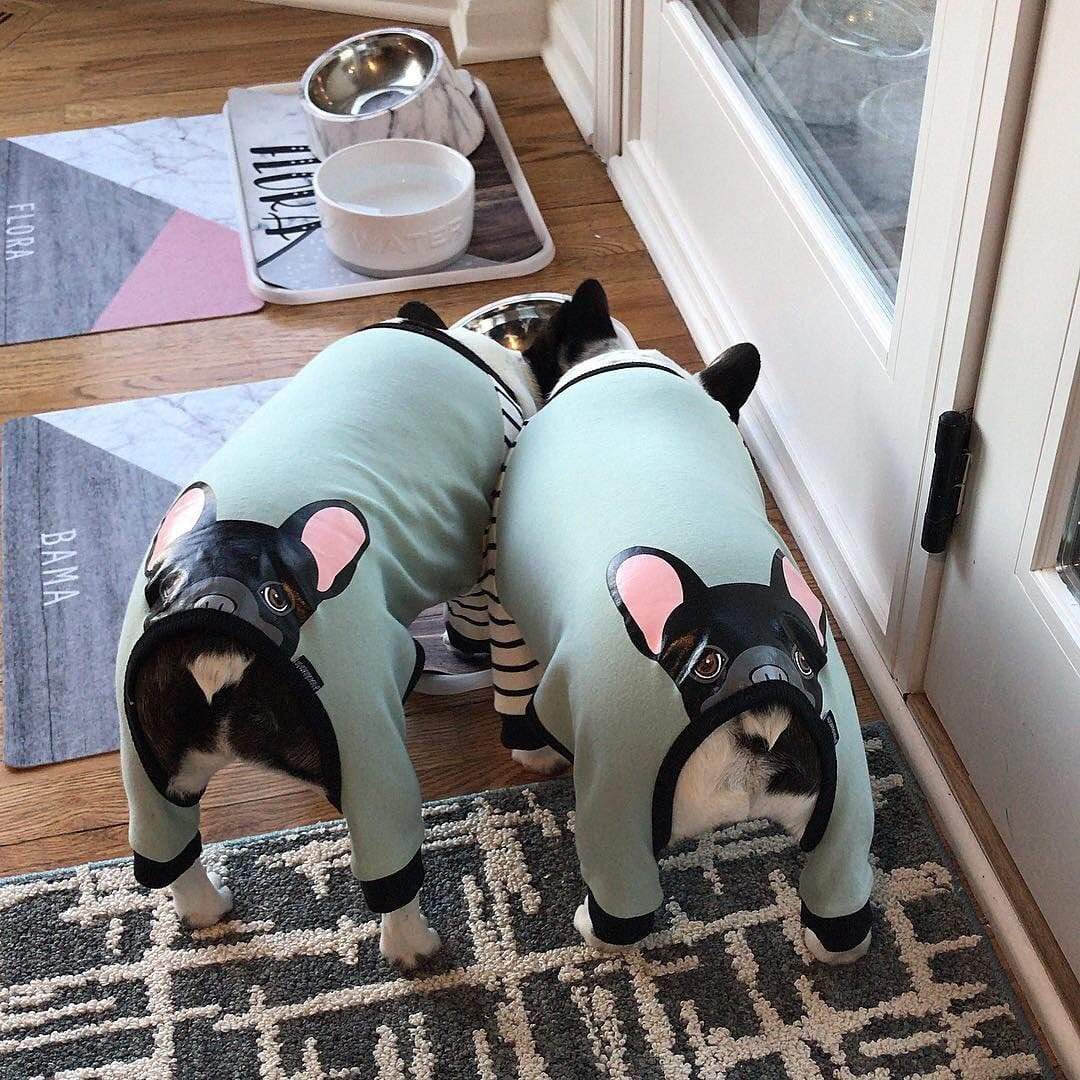 French Bulldog Pajamas | Frenchie Clothing | Black Frenchie dog, Frenchie Dog, French Bulldog pet products