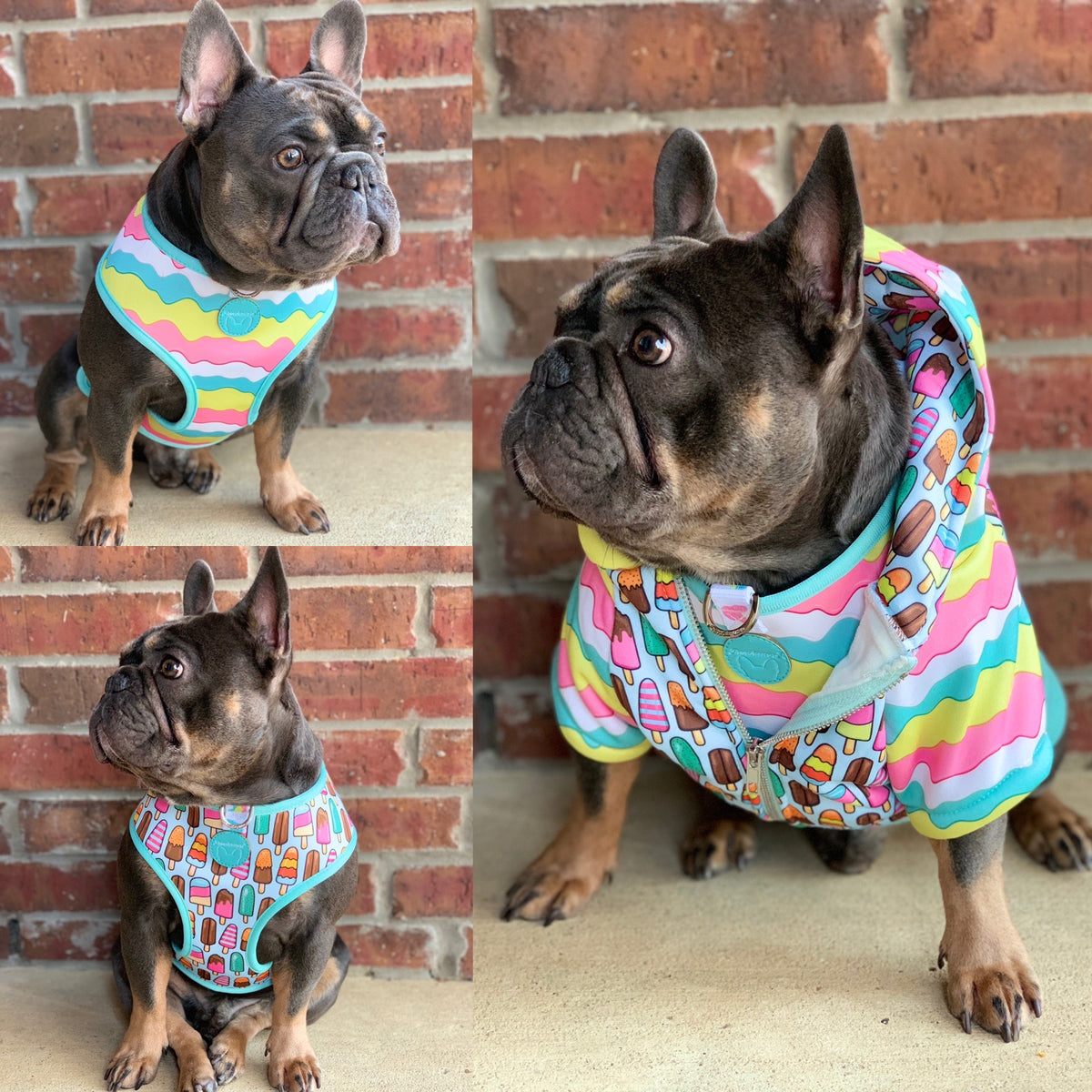 Frenchiestore Reversible Dog Health Harness | Ice Cream, Frenchie Dog, French Bulldog pet products