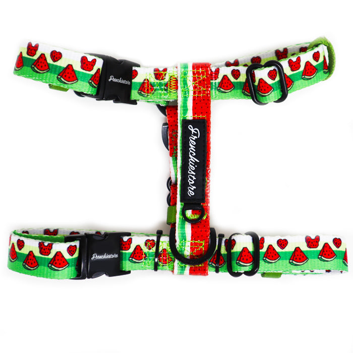 Watermelon dog cheap harness