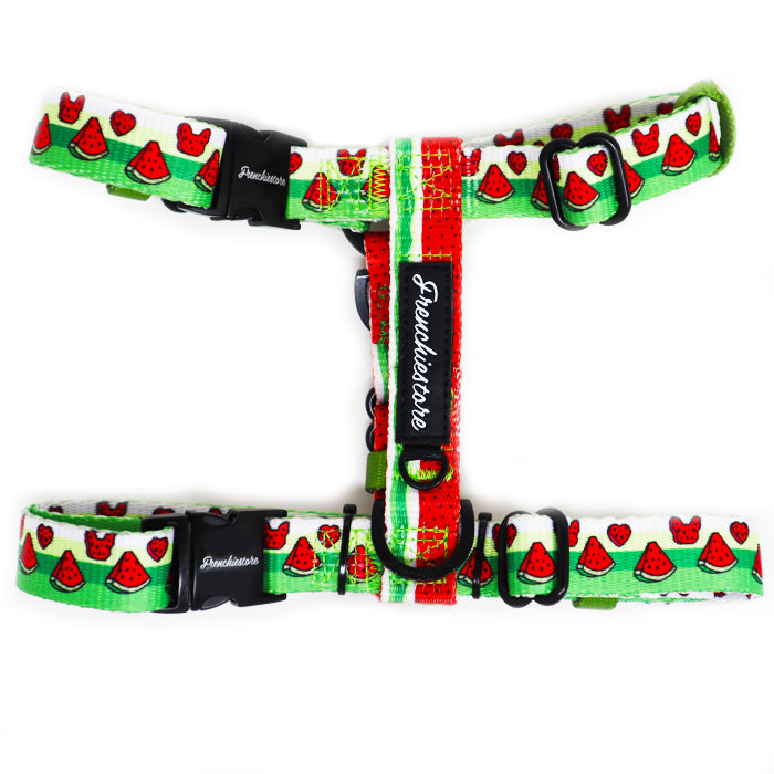 Frenchiestore Adjustable Pet Health Strap Harness | Watermelon, Frenchie Dog, French Bulldog pet products