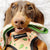 Guinzaglio di lusso per cani Frenchiestore | Taco bout it, Frenchie Dog, prodotti per animali domestici Bulldog francese