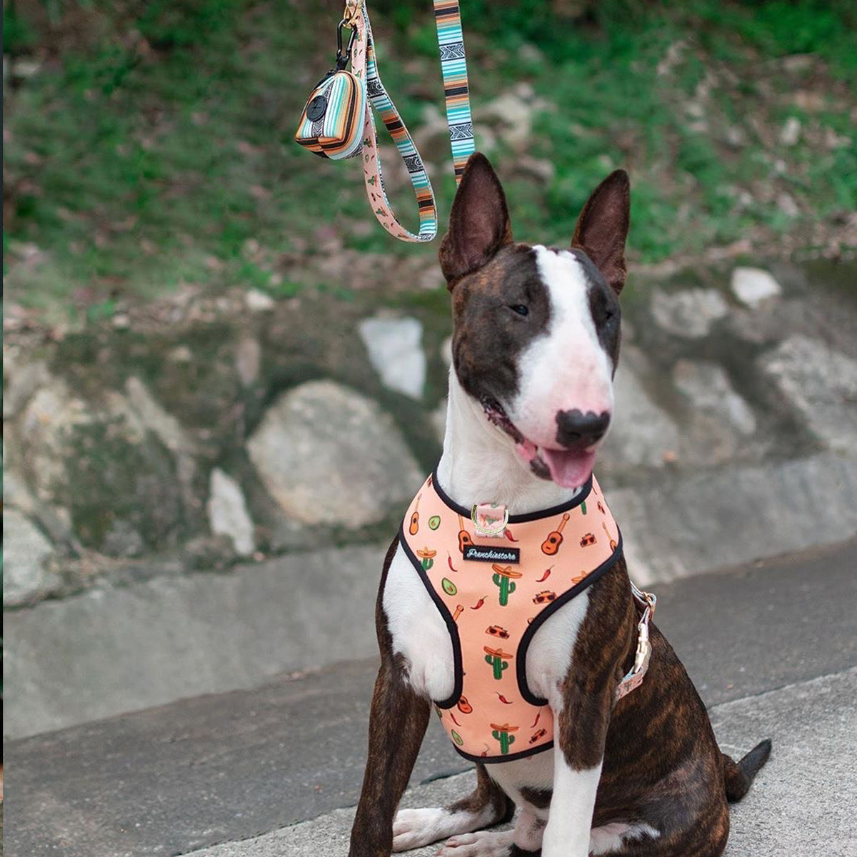 Frenchiestore Reversible Dog Health Harness | Livin&#39; La Vida Frenchie, Frenchie Dog, French Bulldog pet products