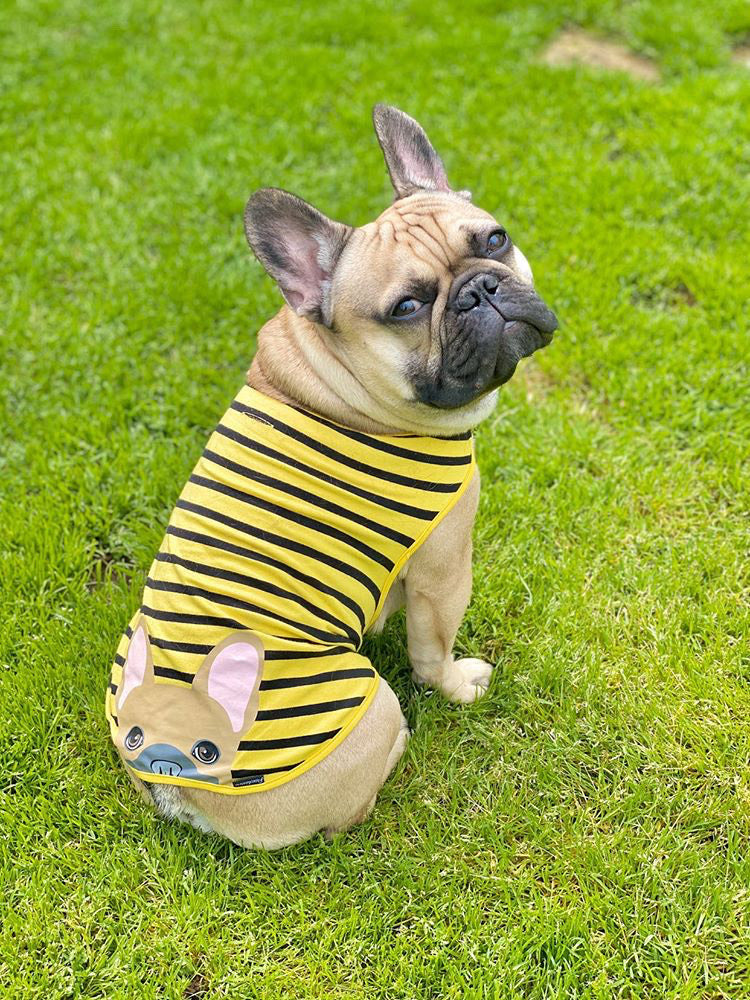 Frenchie Shirt | Frenchiestore | Fawn French Bulldog in Bumblebee, Frenchie Dog, French Bulldog pet products