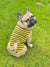 قميص فرنسي | فرنشيستور | Fawn French Bulldog في Bumblebee ، Frenchie Dog ، منتجات الحيوانات الأليفة الفرنسية البلدغ