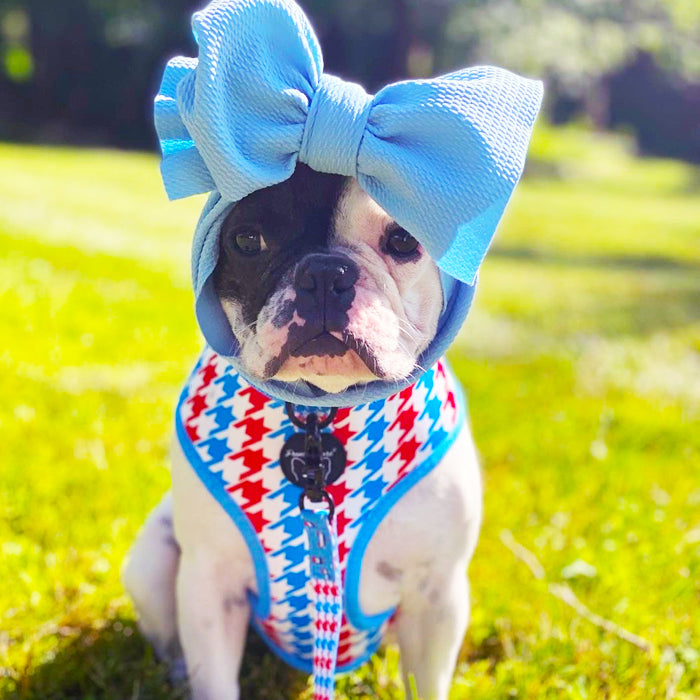 Frenchiestore Reversible Dog Health Harness | Bombastic, Frenchie Dog, French Bulldog pet products