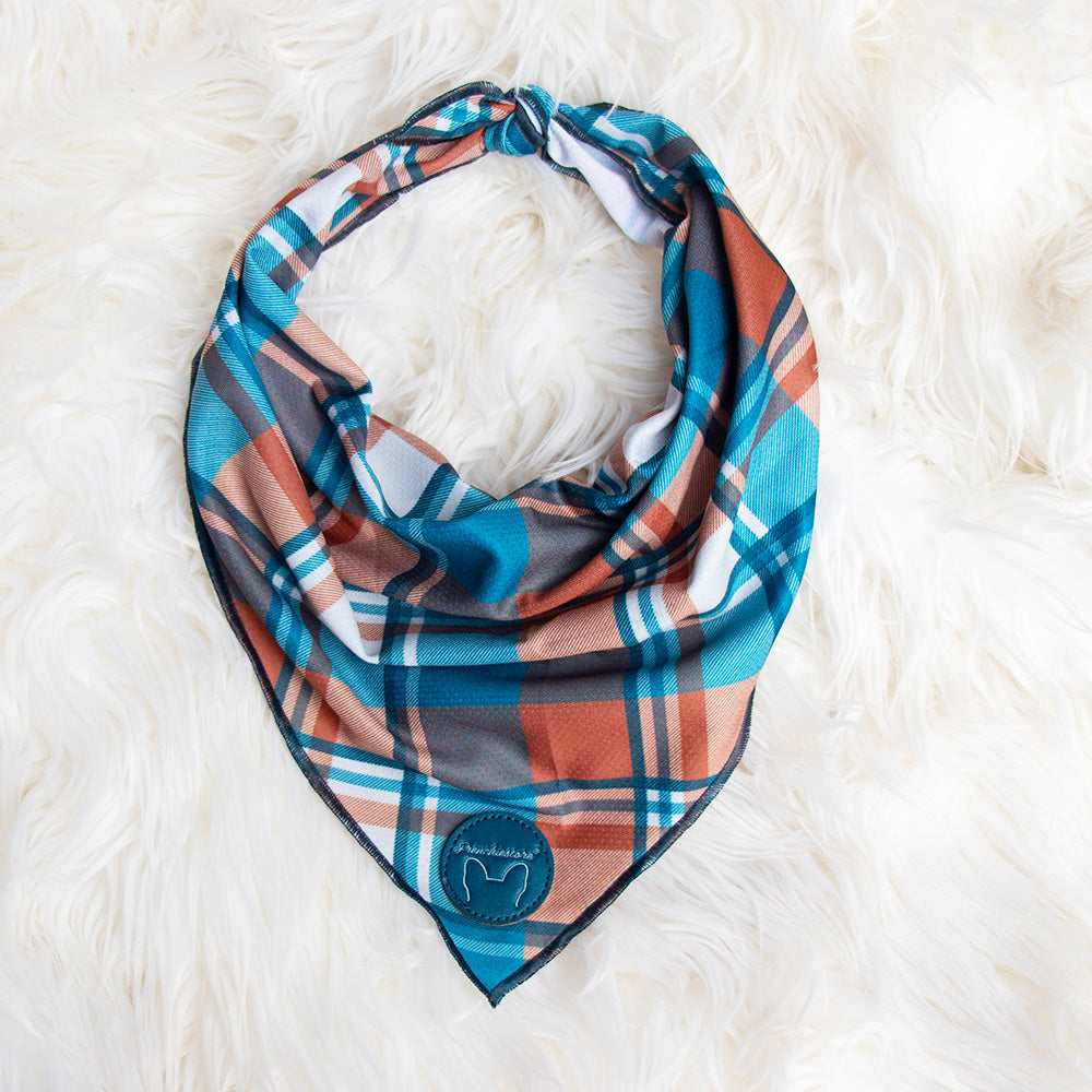 Frenchiestore Dog Cooling Bandana | Sprung, Frenchie Dog, French Bulldog pet products