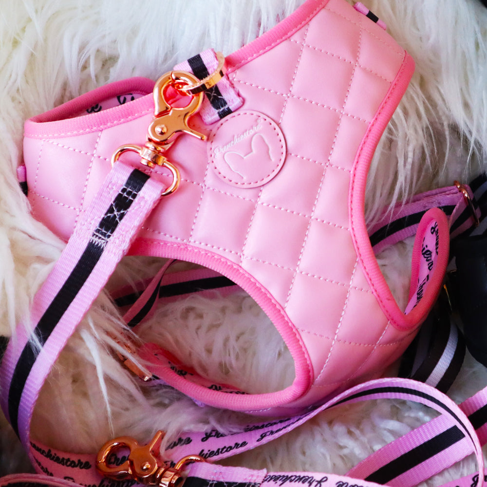 Pink Vegan Varsity Bundle | Frenchiestore, Frenchie Dog, French Bulldog pet products