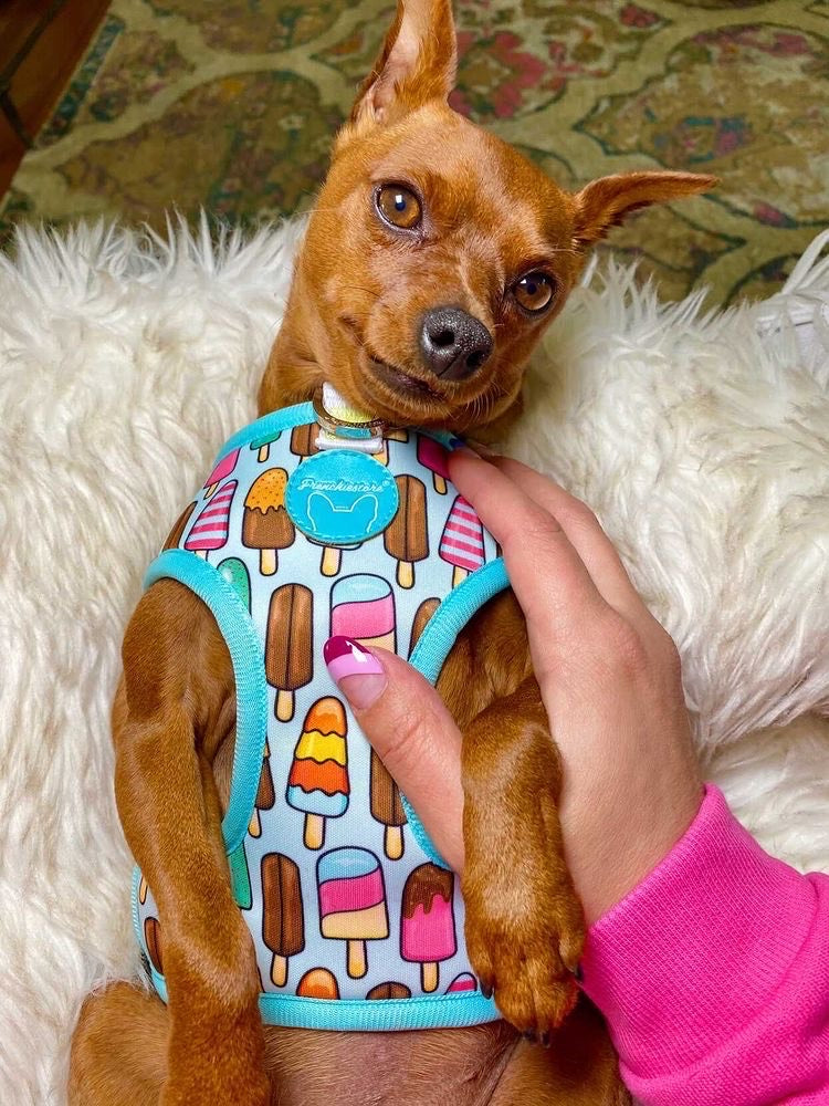 Frenchiestore Reversible Dog Health Harness | Ice Cream, Frenchie Dog, French Bulldog pet products
