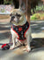 Frenchiestore Reversible Dog Health Harness | Puppy Love, Frenchie Dog, French Bulldog pet products