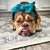 Frenchiestore Pet Head Bow | Teal, Frenchie Dog, Haustierprodukte der französischen Bulldogge