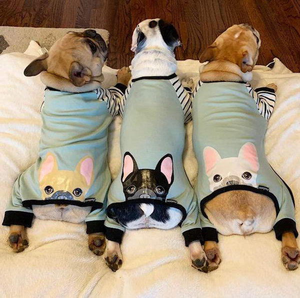 French Bulldog Winter Pajamas (WS53)