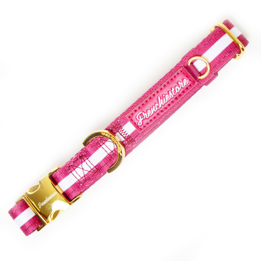 Frenchiestore Breakaway Dog Collar | Beet Varsity, Frenchie Dog, French Bulldog pet products