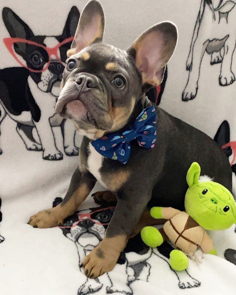Frenchiestore Dog Bow Ties