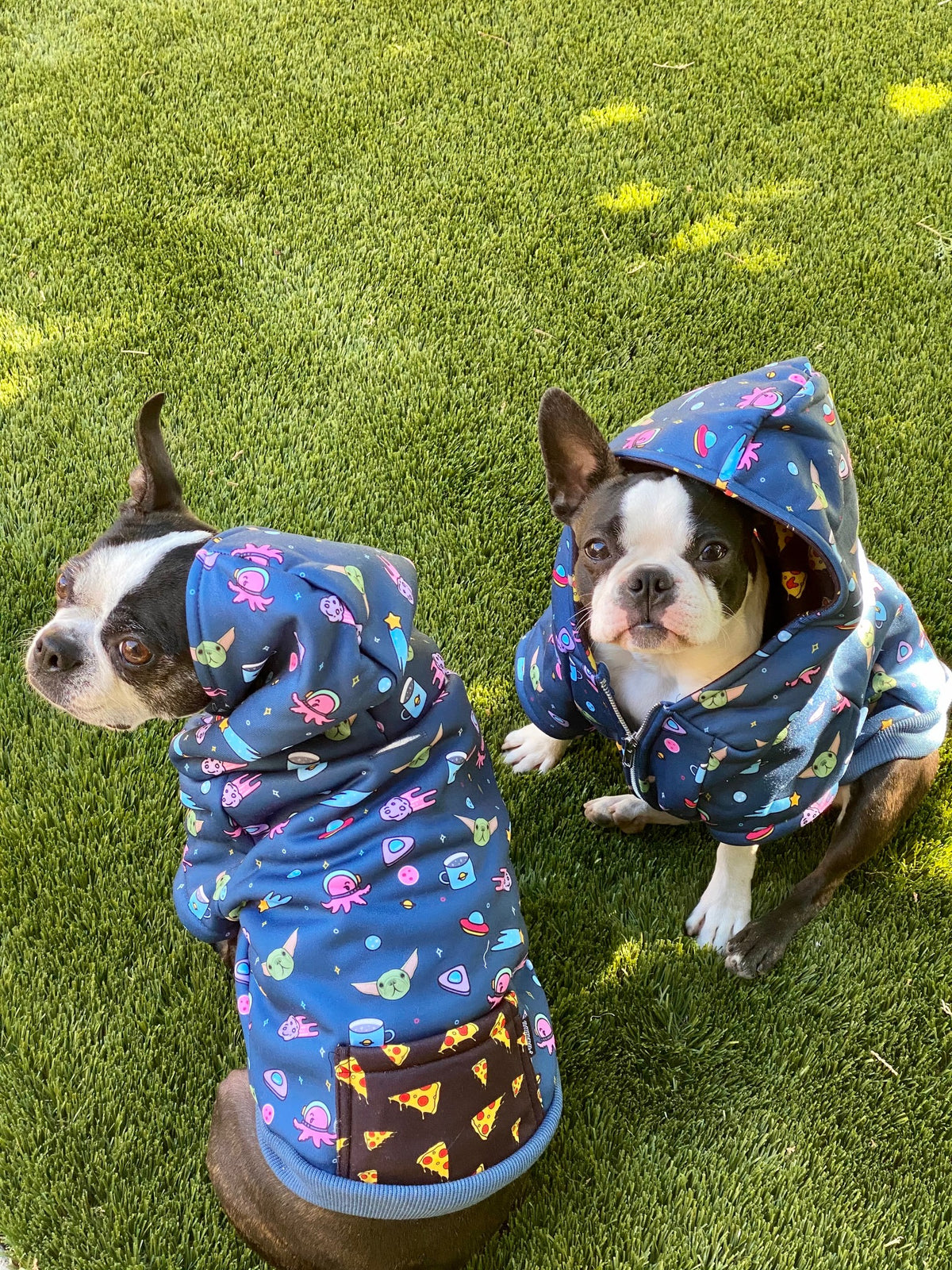 Frenchiestore Organic Dog hoodie | The Child, Frenchie Dog, French Bulldog pet products